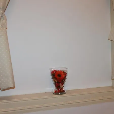 선샤인 홈스 게스트하우스